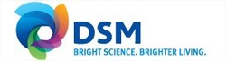 Dsm_nv_logo