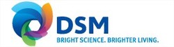 Dsm_nv_logo